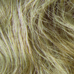 17/101 Light Ash Brown/Plat Blonde Frost